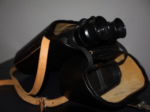 Binocolo carl zeiss dialyt - carl,